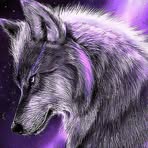 Profile Picture of Kevin Weir (@Kevin-Weir) on Facebook