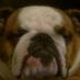 Profile Picture of Kevin Steer (@kevinsteer) on Twitter