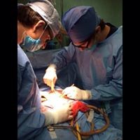 Profile Picture of Fausto Gonzalez (@fausto-gonzalez) on Quora