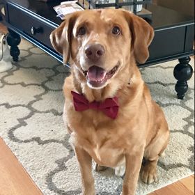 Profile Picture of Jessica Thompson Allen (@jthomp31) on Pinterest