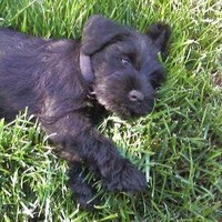 Profile Picture of Scott Auld (@scott-auld-3) on Quora