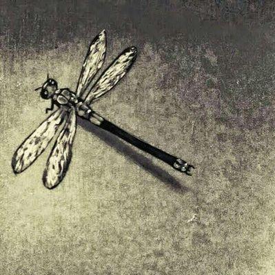 Profile Picture of Deborah McDermott (@DeborahDermott) on Twitter