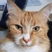 Profile Picture of Kevin Chlebowczyk (@kevin.chlebowczyk) on Facebook