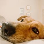Profile Picture of PaisleyRae (@lifeofpaisleyrae) on Instagram