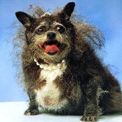 Profile Picture of Peter The Saint (@PeterAStLaurent) on Twitter