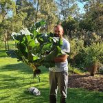 Profile Picture of Chris Santucci (@toochees) on Instagram