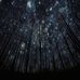 Profile Picture of Linnea S Englund (@linnea.englund.507) on Facebook