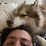 Profile Picture of Adam Bennett (@adambennett12) on Instagram