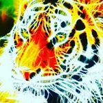 Profile Picture of erik.barragan209 (@erik.barragan209) on Instagram