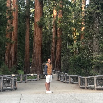 Profile Picture of A (@andrew_avallone) on Twitter