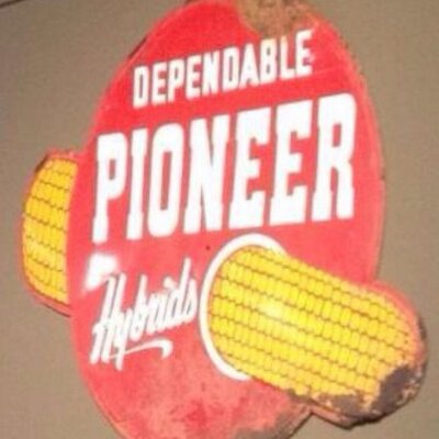 Profile Picture of Kevin Van Netten (@southcoastag) on Twitter