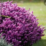 Profile Picture of Heather McKay (@heather.mckay.77398) on Facebook