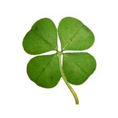 Profile Picture of Keith Howarth (@Lucky13clothing) on Twitter