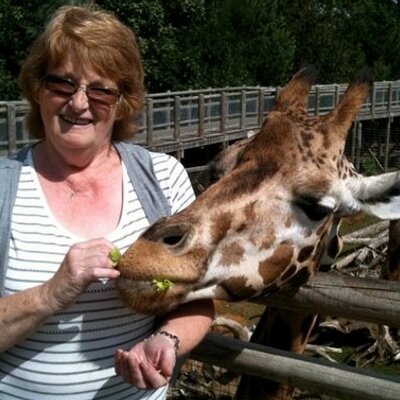 Profile Picture of Judith Bourne (@westmorland12) on Twitter