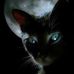 Profile Picture of James Apolo (@james.apolo.1694) on Facebook