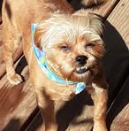 Profile Picture of David Mckeever (@david.mckeever.311) on Facebook