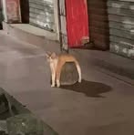 Profile Picture of Steve Rozen (@steve.rozen.208566) on Facebook