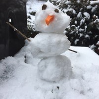 Profile Picture of Dennis Conroy (@dennis-conroy-4) on Quora