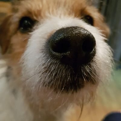 Profile Picture of Neal Moores (@NealMoores3) on Twitter