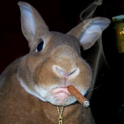 Profile Picture of Mario Flemming (@Buster74Mario) on Twitter