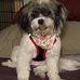 Profile Picture of Susan J. Riley (@susan.j.riley) on Facebook