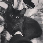 Profile Picture of TJ (@_benjamin_fisher_) on Instagram