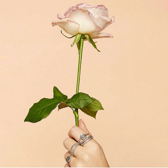 Profile Picture of Rosio Garcia (@rosio27) on Poshmark