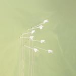 Kevin Wingate - Instagram Profile Picture of Kevin Wingate (@kevin_wing8) on Instagram