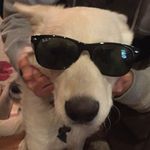 Profile Picture of Michael Stuebing (@captain_stuebs) on Instagram