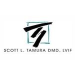 Profile Picture of Scott L. Tamura DMD, LVIF (@drscotttamura) on Instagram