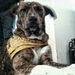 Profile Picture of brandon olszewski (@bolszewski021794) on Pinterest
