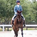 Profile Picture of Christina Hall (@clhalldressage) on Instagram