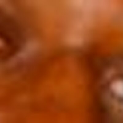 Profile Picture of Jonathan Romney (@n2skopia) on Twitter