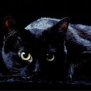 Profile Picture of Bruno Savino (@brunosavino3) on Twitter