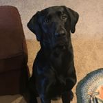 Profile Picture of Scott Piller (@scott.piller.24) on Instagram