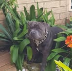 Profile Picture of John Hockings (@john.hockings.52) on Facebook