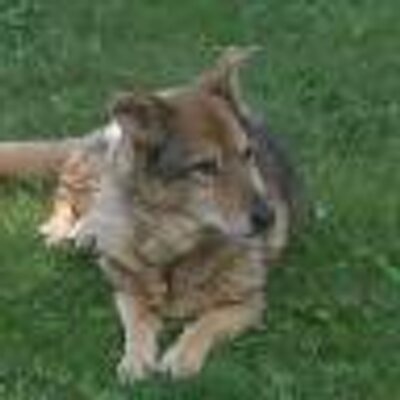 Profile Picture of Chris Ruggles (@jkr898) on Twitter