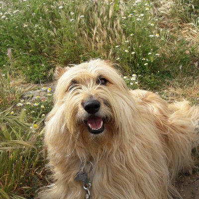 Profile Picture of Catherine.perrin (@Catheri30274683) on Twitter