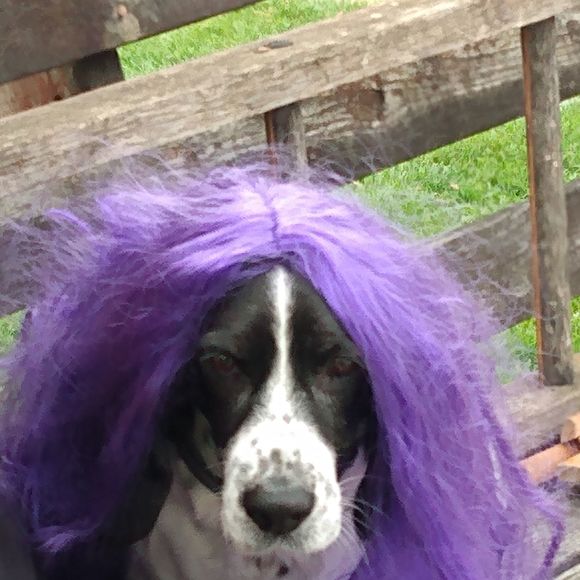 Profile Picture of Brian Miller (@brianmiller384) on Poshmark