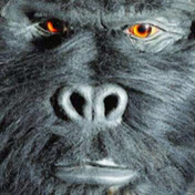 Profile Picture of Edward Hodges (@edwardhodges4295) on Youtube