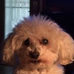 Profile Picture of Joei Bidwell (@joeibidwell) on Instagram