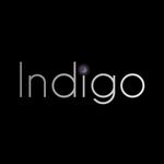 Profile Picture of Indigo led by Dan Nicholson (@indigobandchicago) on Instagram