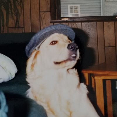 Profile Picture of Nick (@realNickMarks) on Twitter