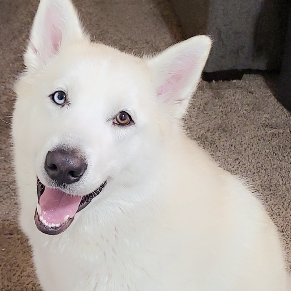 Profile Picture of David Rizo (@rizo27) on Poshmark