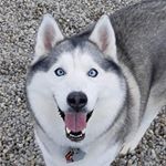 Profile Picture of John DeGroot (@john___degroot) on Instagram