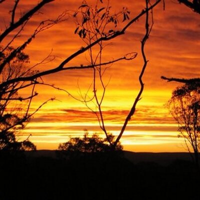 Profile Picture of Lucas Gamble (@mounttennant) on Twitter