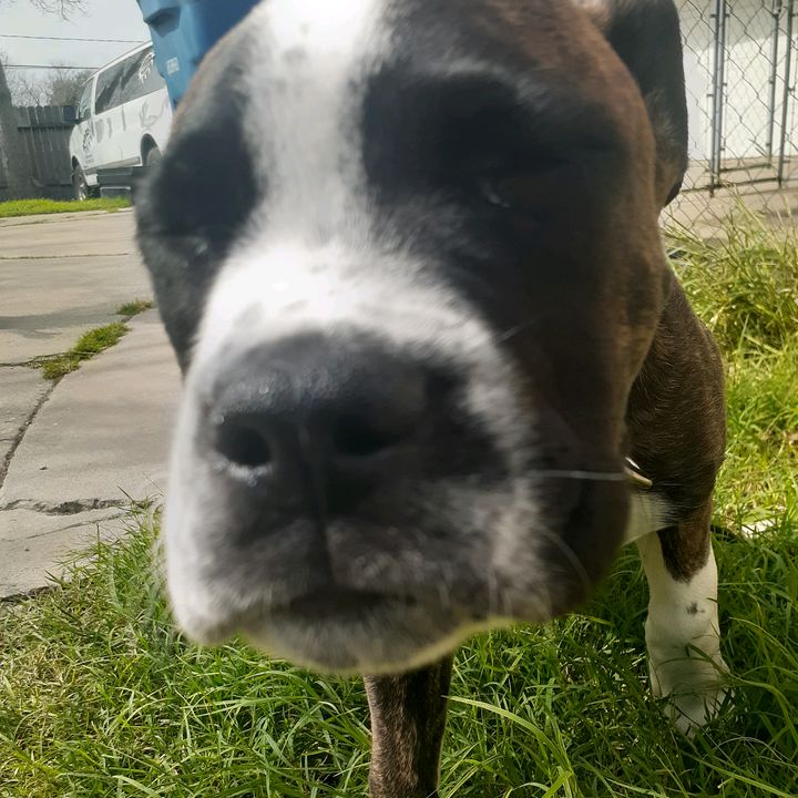 Profile Picture of user9559446657421 (@@christopherlevi0) on Tiktok