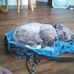Profile Picture of Larry Orcutt (@larry.orcutt.144) on Facebook