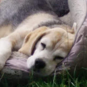 Profile Picture of Jordan Wong (@Jormic24) on Youtube