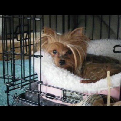 Profile Picture of Robin Colosimo (@ashar3360) on Twitter